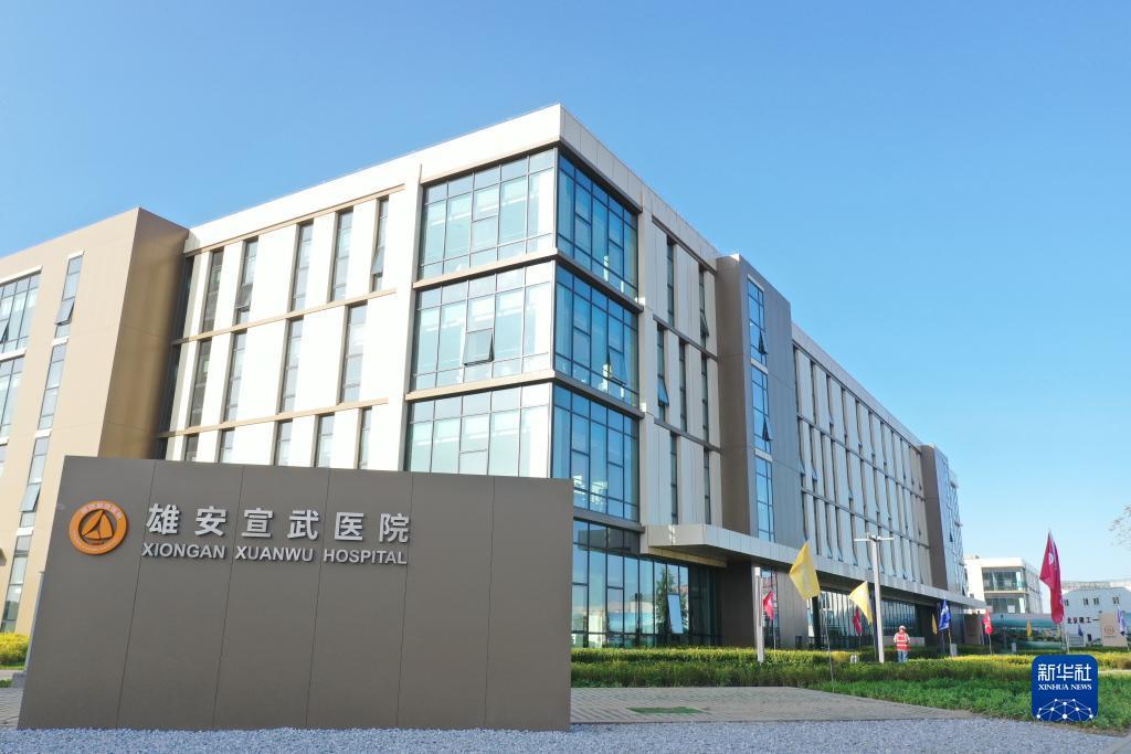 云顶真金集团